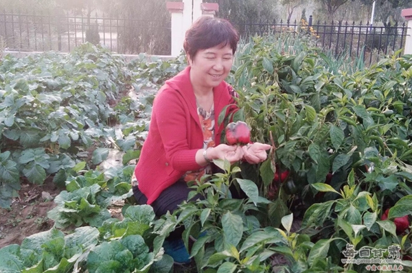 http://pic.gansudaily.com.cn/003/002/559/00300255904_99a1aa72.jpg